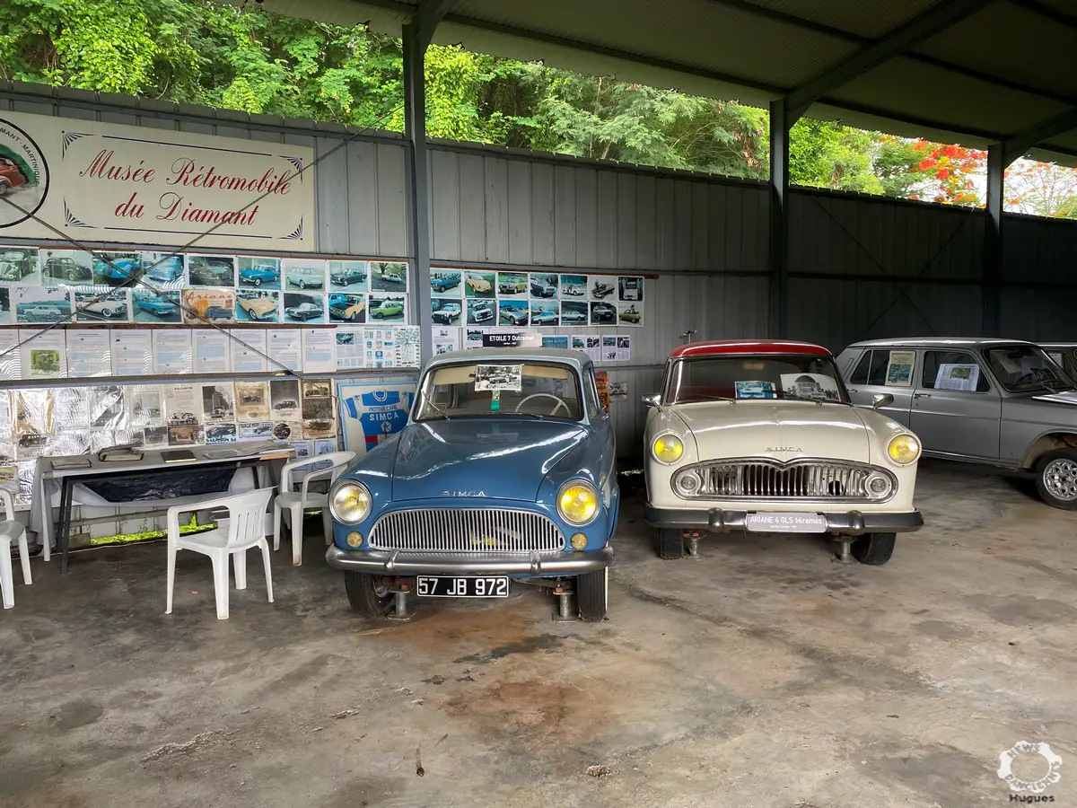 Musée Simca du Diamant, les hirondelles des tropiques