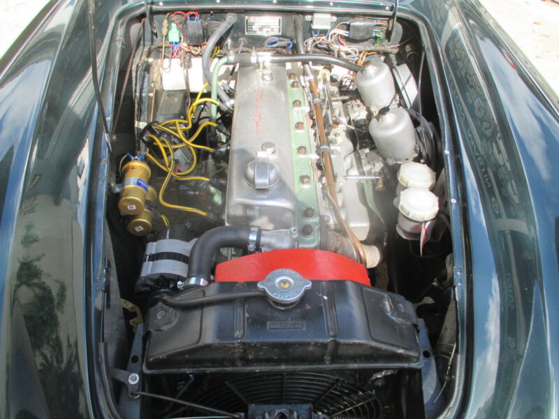 AUSTIN HEALEY BN6 M M / Mille Miglia