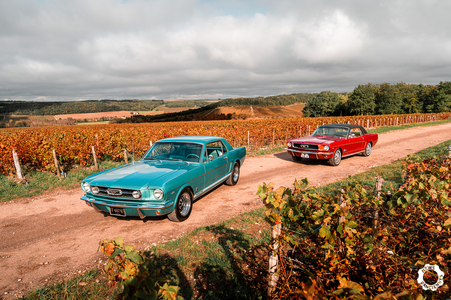 Essai de deux Mustang 1966, les mêmes mais totalement différentes