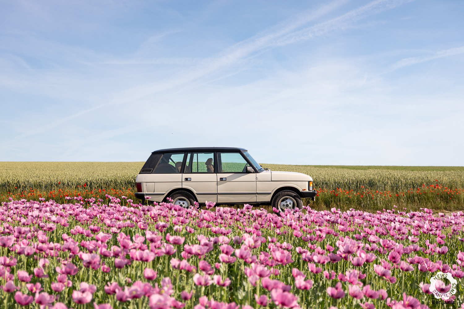 Essai d’un Range Rover « Classic », le véhicule parfait du Gentleman Farmer